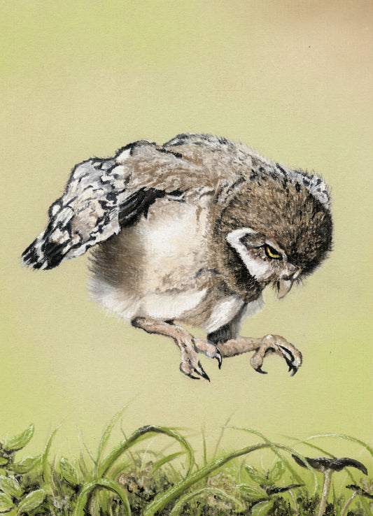 Print of Original pastel 'Pounce'