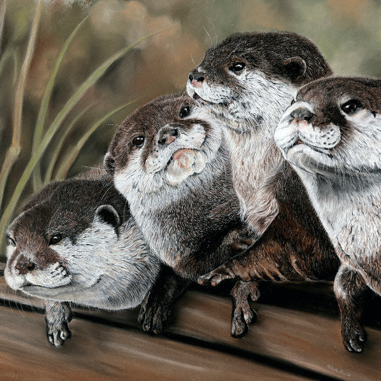 Coasters