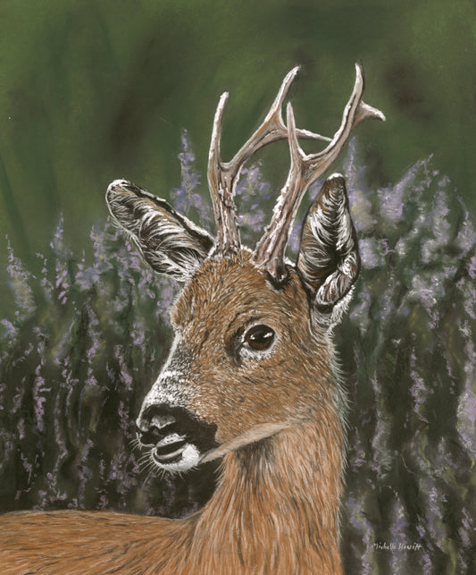 Original Pastel Artwork "Roe Buck"