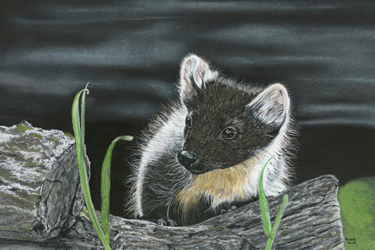 Print of Original Pastel Artwork 'Pinemartin'