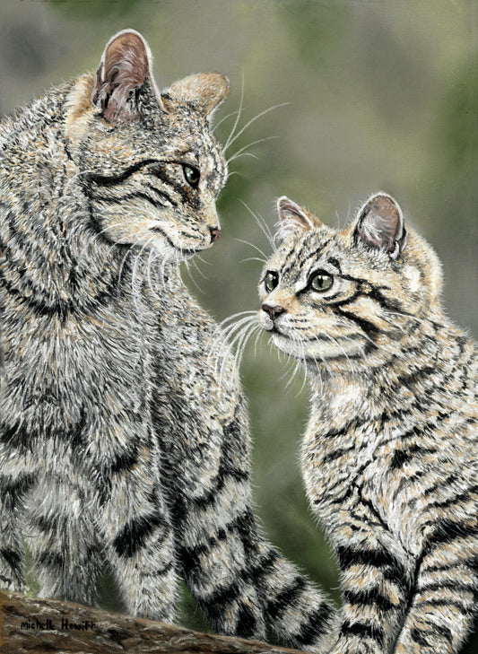 Print of Original Pastel Artwork 'A Mother's Love' - Scottish wildcats