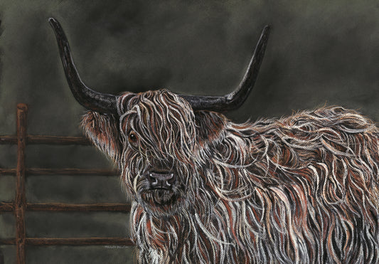 Print of Original Pastel Artwork 'Angus'