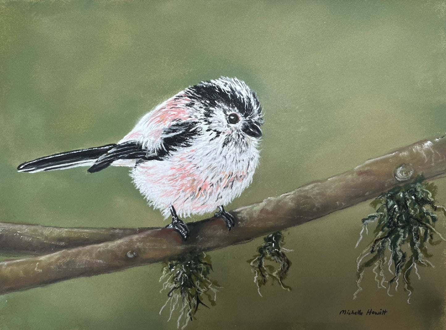 Original Pastel Artwork "Long Tailed Tit" SOLD