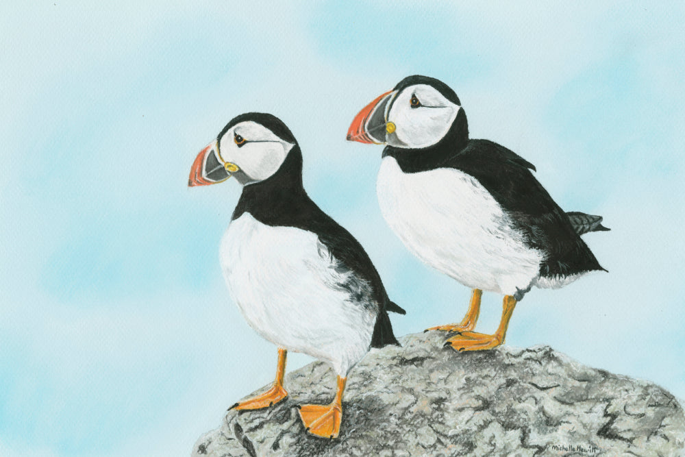 Print of Original pastel 'Huffin' and Puffin'