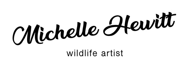 Scottish Wildlife Artist